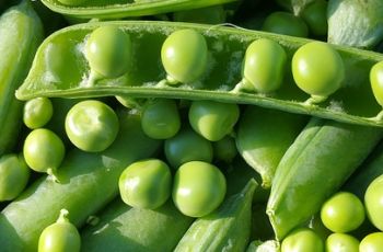 Organic Green peas (मटर) 250g